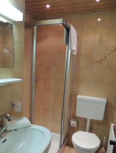 布利克森塔勒罗桑霍夫旅馆的带淋浴、卫生间和盥洗盆的浴室
