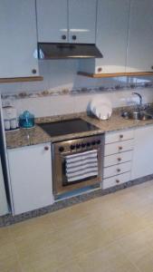 维拉加尔西亚·德·阿劳萨Apartamento Sobradelo的厨房配有炉灶和水槽