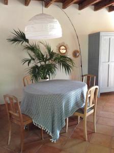 FronsacGarros的餐桌,墙上挂着植物