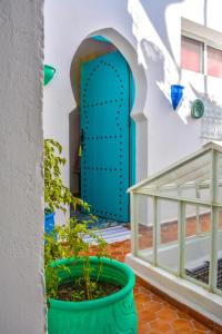 得土安Darna Hostel的植物屋前的蓝色门