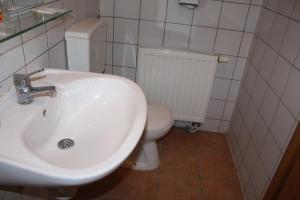 斯拉沃尼亚布罗德Prenoćište "Magnus"的浴室配有白色水槽和卫生间。