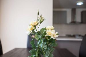 库克角Holiday Rose的花瓶,上面有黄色的花朵