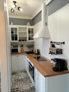 布拉迪斯拉发PÁLFFY的厨房配有白色橱柜和木制台面