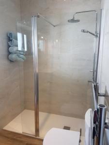 莫哈卡尔Villa Sellares的设有带卫生间的浴室内的淋浴间