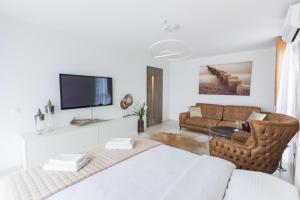 布拉索夫Apartment Alonisos Lux的带沙发和电视的客厅