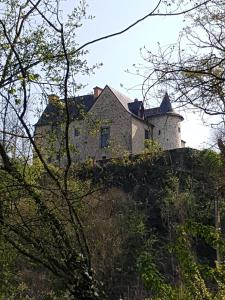 ChangéManoir de la coudre的一座树冠茂密的山顶上的城堡