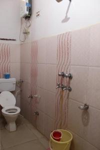 奥拉奇哈Best B&B in Orchha的一间带卫生间和淋浴间的浴室