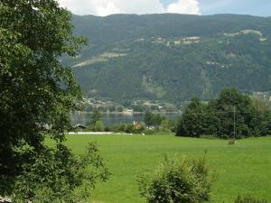 奥西阿赫Pension Strauß的一片绿草,有湖泊和山脉
