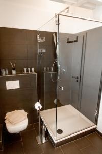 巴特诺因阿尔-阿尔韦勒菲尔德霍夫公寓的带淋浴和卫生间的浴室