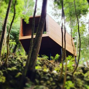 BiscoitosCaparica Azores Ecolodge的树林中的一座房子
