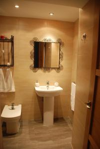 托莱多菊德里亚公寓酒店的一间带水槽、镜子和卫生间的浴室