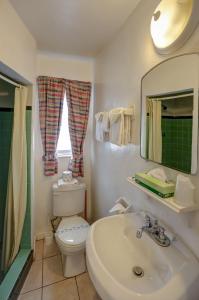 哈兰代尔海滩Richard's Motel Extended Stay的一间带水槽、卫生间和镜子的浴室