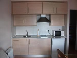 塞拉内华达锡耶拉内华达迎宾公寓的厨房配有木制橱柜、水槽和微波炉