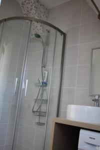 Artannes-sur-IndreGite du Moulin de Balzac的浴室内配有淋浴和头顶淋浴