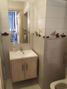 佩奇Király Apartman的一间带水槽、卫生间和镜子的浴室