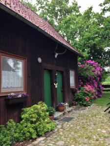 维岑多夫Reiterhof Winandy的一座带绿门和一些花的房屋