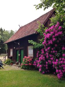 维岑多夫Reiterhof Winandy的前面有粉红色花的房子