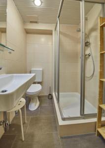 萨尔巴赫Appartements Alpin的带淋浴、盥洗盆和卫生间的浴室