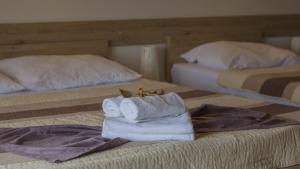 Ličko Petrovo SeloResort Big House Plitvička jezera的酒店客房 - 带两张床和床上的毛巾