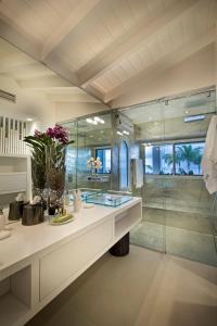 贝尔龙格Dream Villa Terres Basses 557的一间带水槽和玻璃淋浴的浴室