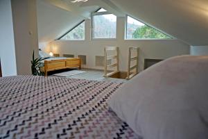 佐尔尼耶戈迪Apartma Eržen的卧室配有一张床、一张书桌和窗户。