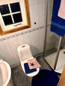 亨尼博斯特兰德Hunnebostrand, Ramsviklandet, Smögen, Bohuslän, Vestkusten的浴室设有卫生间,上面有星光毛巾