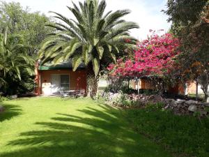 奥乔Buschberg guest farm的一座棕榈树和粉红色花在院子里的房子