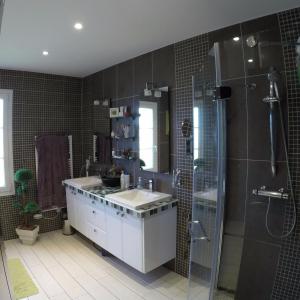 Sargé Les Le Mans Villa du Courboulay的一间带水槽和淋浴的浴室