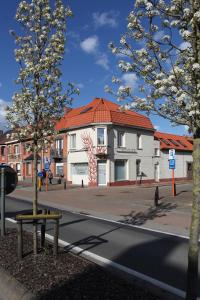 德帕内vakantiehuis-oyenkerke 2的街道上一座红色屋顶的建筑
