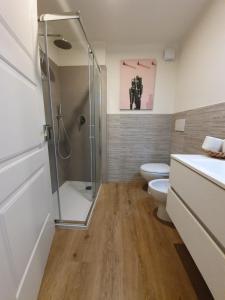 卢卡6 Via della Rosa的带淋浴和卫生间的浴室