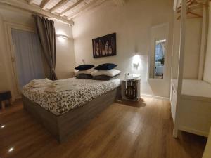 卢卡6 Via della Rosa的一间卧室配有一张带蓝色枕头的床。