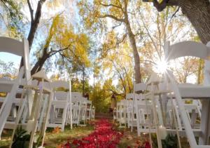 塞多纳钻石度假村集团洛斯阿布里迦多斯度假酒店及水疗中心的婚礼仪式上一排白色椅子