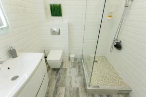 苏梅Apart-Hotel "LAVINA"的带淋浴、卫生间和盥洗盆的浴室