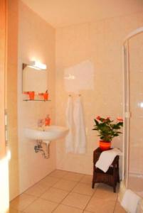 伊森比特尔罗森霍夫酒店的一间带水槽和淋浴的浴室