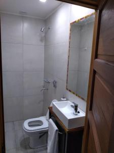科尔多瓦Casa confortable的一间带水槽、卫生间和镜子的浴室