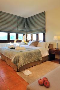 扎戈拉卡帕尼阿里斯公寓式酒店的大型卧室设有大窗户和一张大床