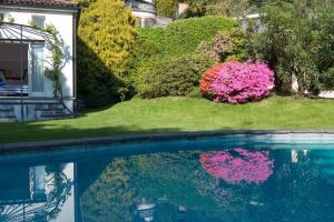 莫尔科泰Morcote Cottage的一座游泳池,位于一个拥有粉红色花卉的庭院内