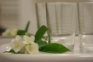 比尔什托纳斯Hotel Audenis的花瓶和玻璃杯,桌上有白色的花