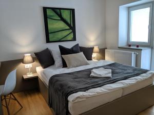 赫拉德茨 - 克拉洛韦AP 1 - Apartments 4U Březinova "Overnight Simply"的一间卧室设有一张大床和一个窗户。