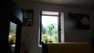 Saint-Pierre-dʼEntremont拉穗德辉杜潘松住宿加早餐旅馆的窗户,享有植物的景色