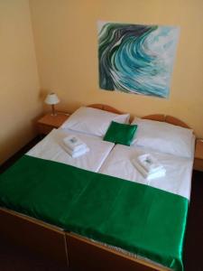 卡罗维发利珍德卡若健康酒店的一张带两个绿色和白色枕头的床