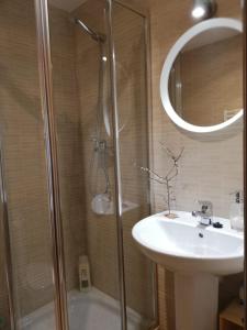La PenillaCabárceno的带淋浴、盥洗盆和镜子的浴室