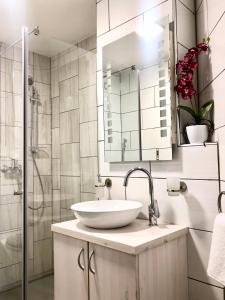 佐尔尼耶戈迪Guest house Kobal的白色的浴室设有水槽和淋浴。