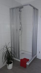 FrankenbergNEW LOOK的浴室里配有带红色毛巾的淋浴间