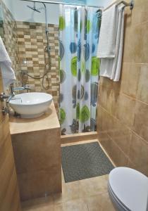 卡尔扎迈纳JK's GUESTHOUSE KARDAMAINA的一间带水槽、卫生间和淋浴的浴室