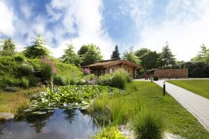 格尔德恩詹森希尔公园酒店的一个带池塘和小木屋的花园