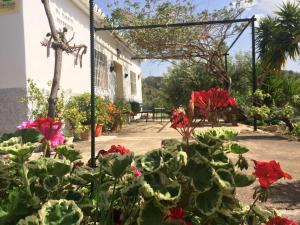 阿达莱斯Rural El Puerto Mayordomo的一座花园,在一座建筑前种有红色花卉