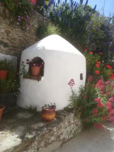 奥德赛克斯Casa Luar的墙上有盆栽植物和花卉的花园