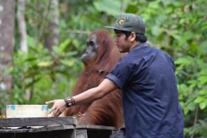 庞卡兰布翁Orangutan Shaka Houseboat with cabin的相册照片