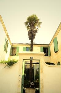 拉罗谢尔拉梅森杜帕尔米尔酒店的棕榈树坐在大楼顶部